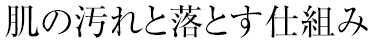 肌の汚れと落とす仕組み