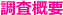 調査概要